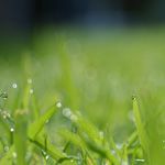 Why God Means “Come As You Are”